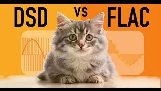 DSD vs FLAC (DSD vs PCM) [15 Key Point Guide]
