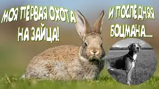МОЯ ПЕРВАЯ Охота на зайца с гончими собаками. Последняя охота Боцмана...