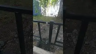 Газонные ограждения
