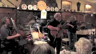 Muddy York - Green Willow Tree - www.muddyyorkcd.ca