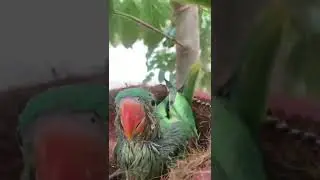 #Cute
