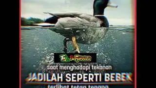 STORY WA DJ QUOTES 30 DETIK TERBARU 2020|| STATUS WA KEREN