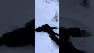 ✨🎄Хогвардс зимой🎄✨