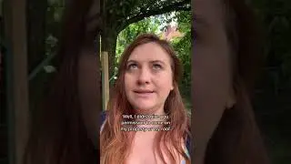 Culture Shock after moving to Germany