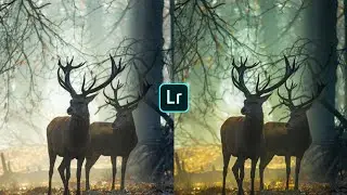 Vintage Green Presets - Lightroom Mobile Preset | Moody Vintage Green | Techno Editor