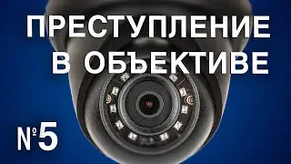 Вызов 02  Преступление в объективе №5