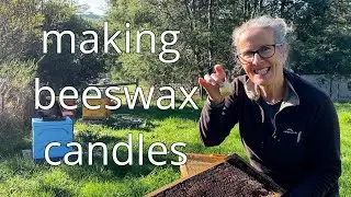 Making Beeswax Candles from Rendered Wax from my Hives | Permaculture Life