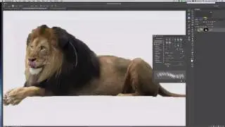 Episode 7 Masking Animal Fur