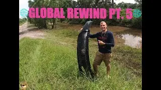 Global Rewind Pt. 5 | CMB GLOBAL
