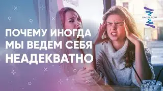 Почему мы срываемся и начинаем навязывать свое мнение другим людям. ЮНЕВЕРСУМ. Проект В. Юнева