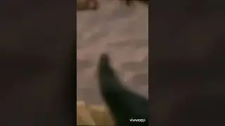 Само эпичная победа в истории#shorts #история #испания #инки