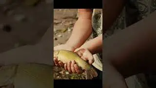 Отрывок из ролика, отпустили линька! 