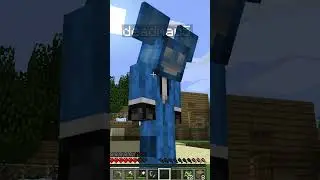 DIESEN MINECRAFT NAMETAG KENNT NIEMAND! 