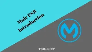Mule ESB Tutorial | Introduction to Mule ESB | Tech Elixir