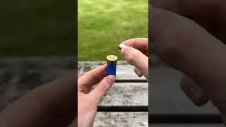 Shotgun Shell Experiment