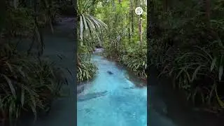 GAK NYANGKA ADA PEMANDANGAN SEPERTI INI DI INDONESIA! 