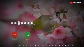 New Hindi Ringtone 2020 || Punjabi Ringtone Mp3 || zindagi vich || Famous Trending Ringtones