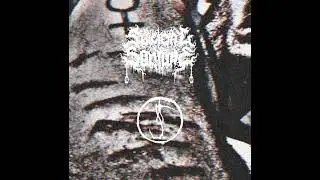 Suicidal Solitude & Svor - Padanie ruží