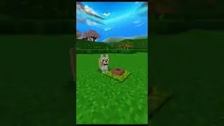 New Minecraft 1.20 Build Hack That Should Everyone Try 🤯🔥#shorts