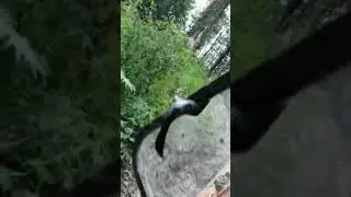 Заброска на Мультинские озёра. #алтай #Шишига #mountains #offroad #adventure