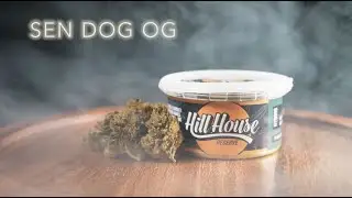Sen Dog OG by Hill House Reserve | Strain Review | Nightly Bud