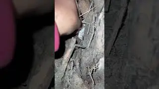 Кто рядом - забирайте. Потом выложите фото счастливчика 😁