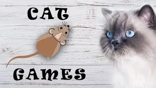 Squeaking Mice! Entertainment game for cats