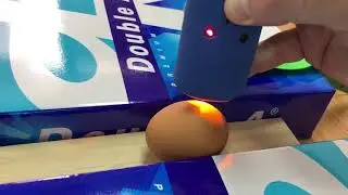 Prevent Food Fraud: Printing Invisible Marks on Eggs
