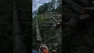 Валочная лопатка или клинья?