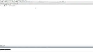 ModelSim PE FPGA Waveform Windows doesn't appear