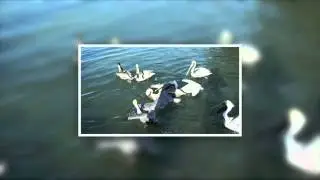 Photo Recall Effect