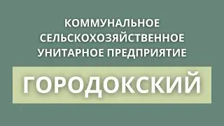 Государственное предприятие Городокский