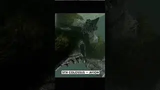 kinda looks like a crow!! #playstation #shadowofthecolossus