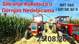 Gornje Nedeljice Siliranje Kukuruza 25.08.2024. | IMT 560 i Sip | IMT 539 i Ursus c355