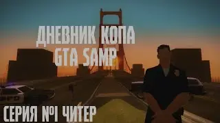 Дневник копа запись №1 