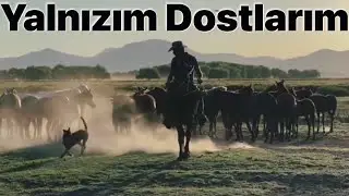 YALNIZIM DOSTLARIM