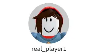 This Is Not a Real Roblox Account