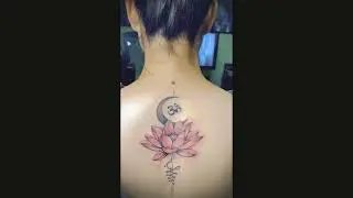 Lily Flower
