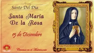 SANTO DEL DIA 15 DE DICIEMBRE - SANTA MARIA DE ROSA