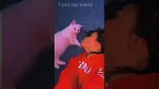 Я буду любить тебя как будто амнезия