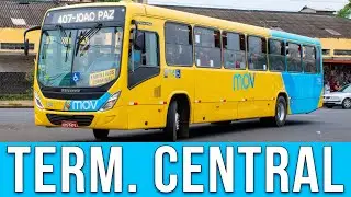 Terminal Central (Londrina/PR) - Movimentação de Ônibus 