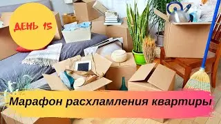 Предновогодний марафон расхламления квартиры. 31 день. День 15 - 17 вещей.