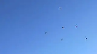 Бакинская молодёжь. Полёты 02.07.24