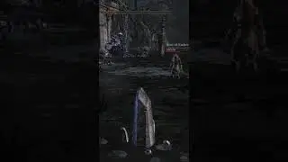 You Don't Know Im Here #darksouls #darksouls3 #eldenring