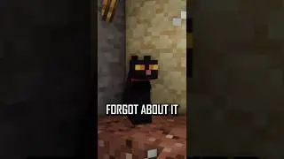 I Saved My Friend's Minecraft Cat...