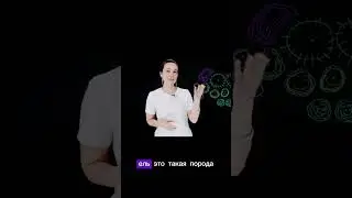 Лесосад - гильдия ели. #пермакультура #огород  #лесосад #shorts