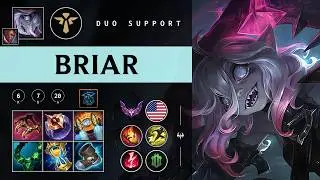 Briar Support vs Lulu - NA Master Patch 26.04