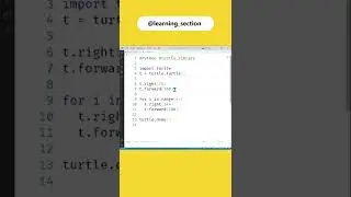 Star 😍 - Python Turtle | @learning_section