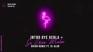 INTRO OYE GERLA + SE CREE MALA - RKT - BRIAN REMIX ✘ DJ ALAN