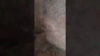 Нечеловечески высокие ступени башни Рамле